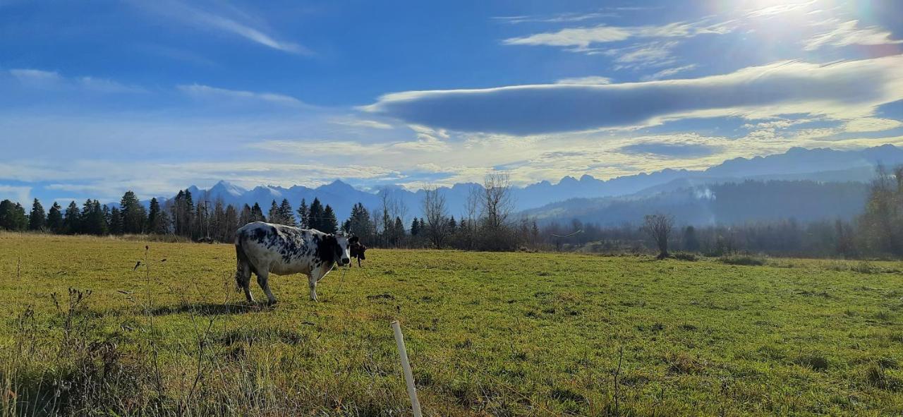 Chalpy Na Wierchu Rzepiska Esterno foto